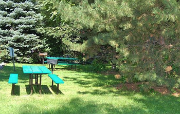 Picnic tables and benches are set up in a grassy area surrounded by trees.